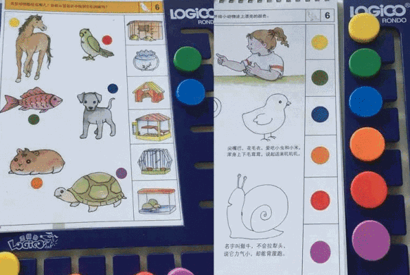 逻辑狗思维训练